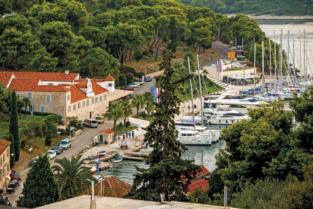 solta6 maslinica.jpg