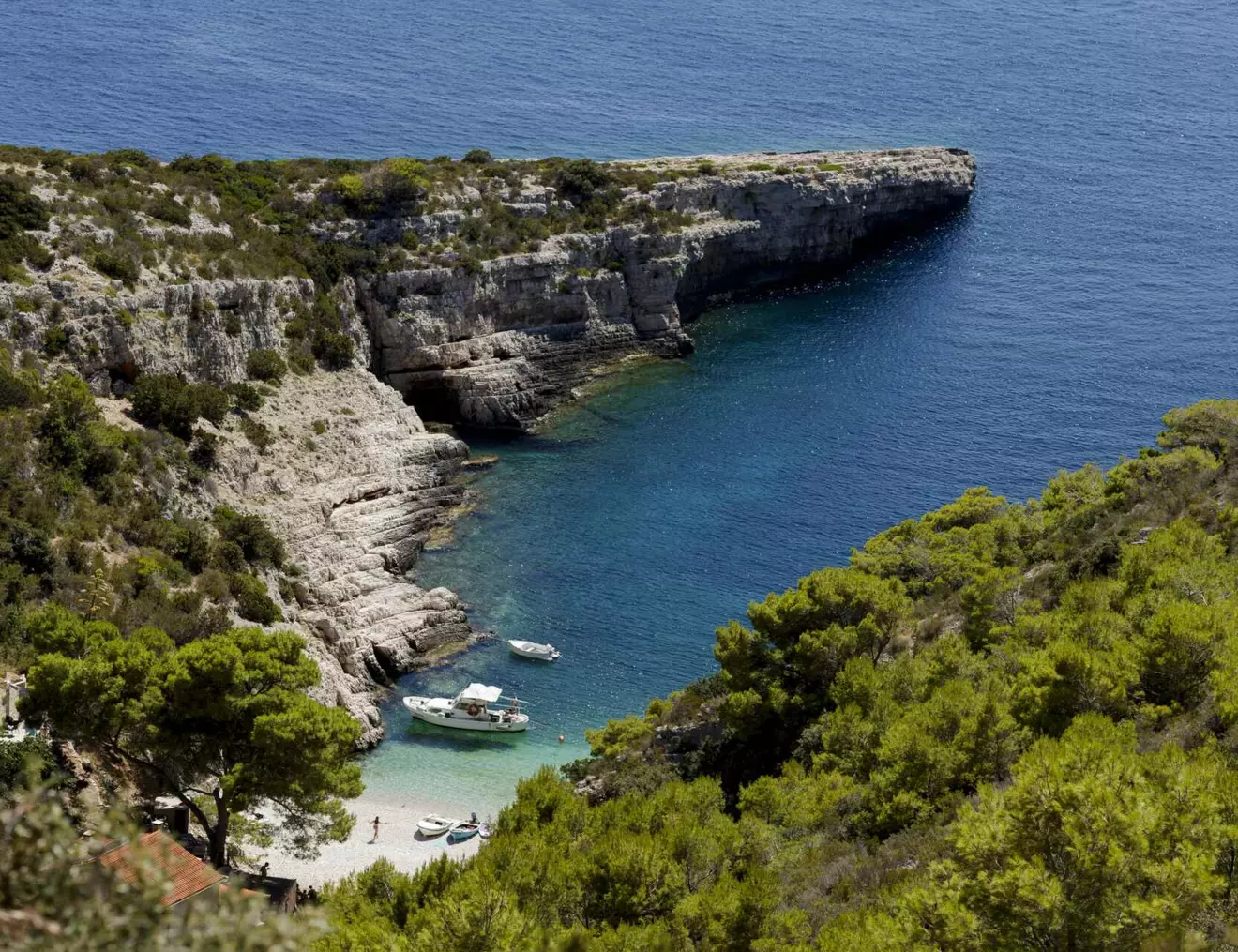  VIS 09.jpg