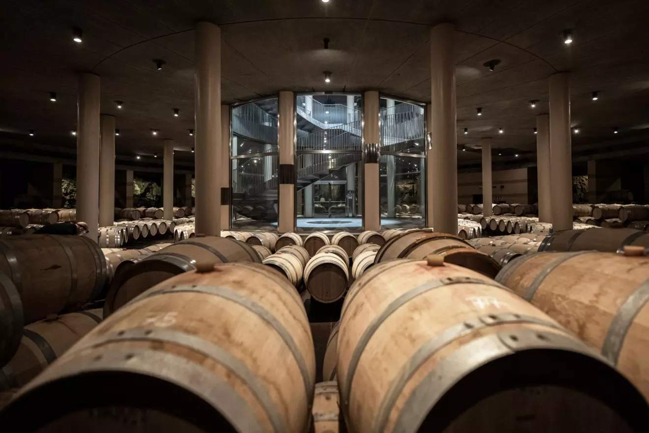 Le Mortelle Winery, Tuscany