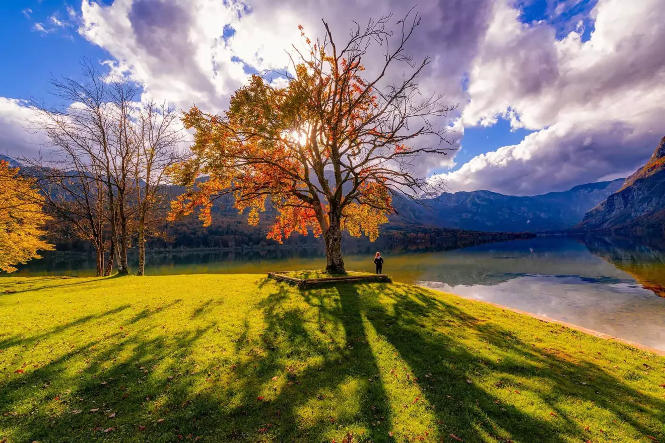 slovenjja nature