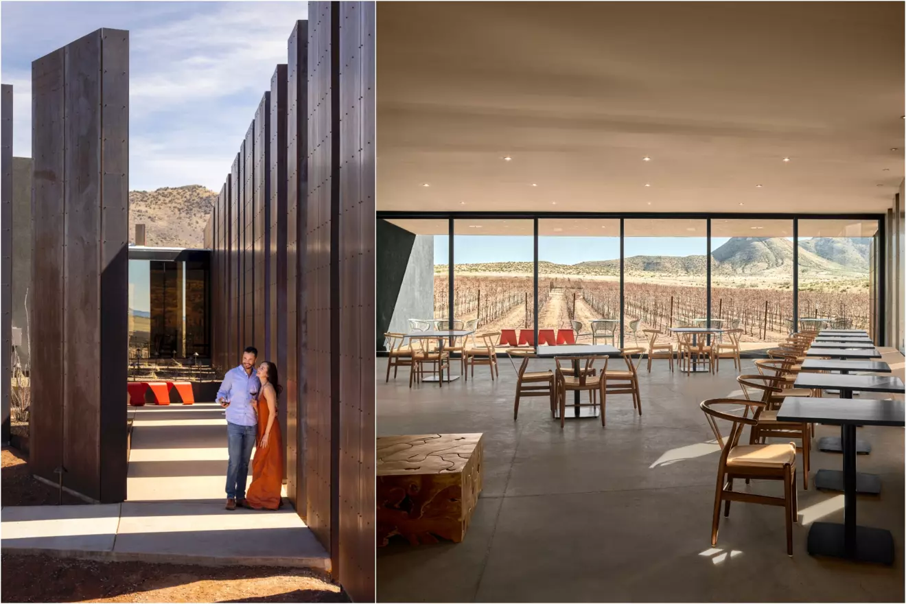 Los Milics Vineyards in Arizona