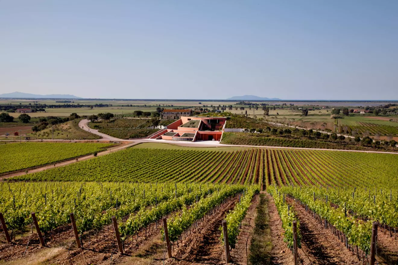 Le Mortelle Winery, Tuscany