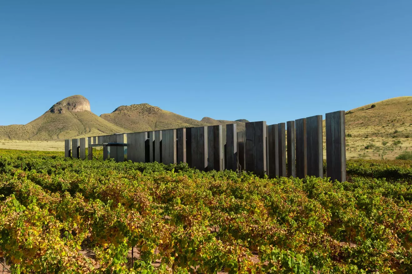 Los Milics Vineyards in Arizona