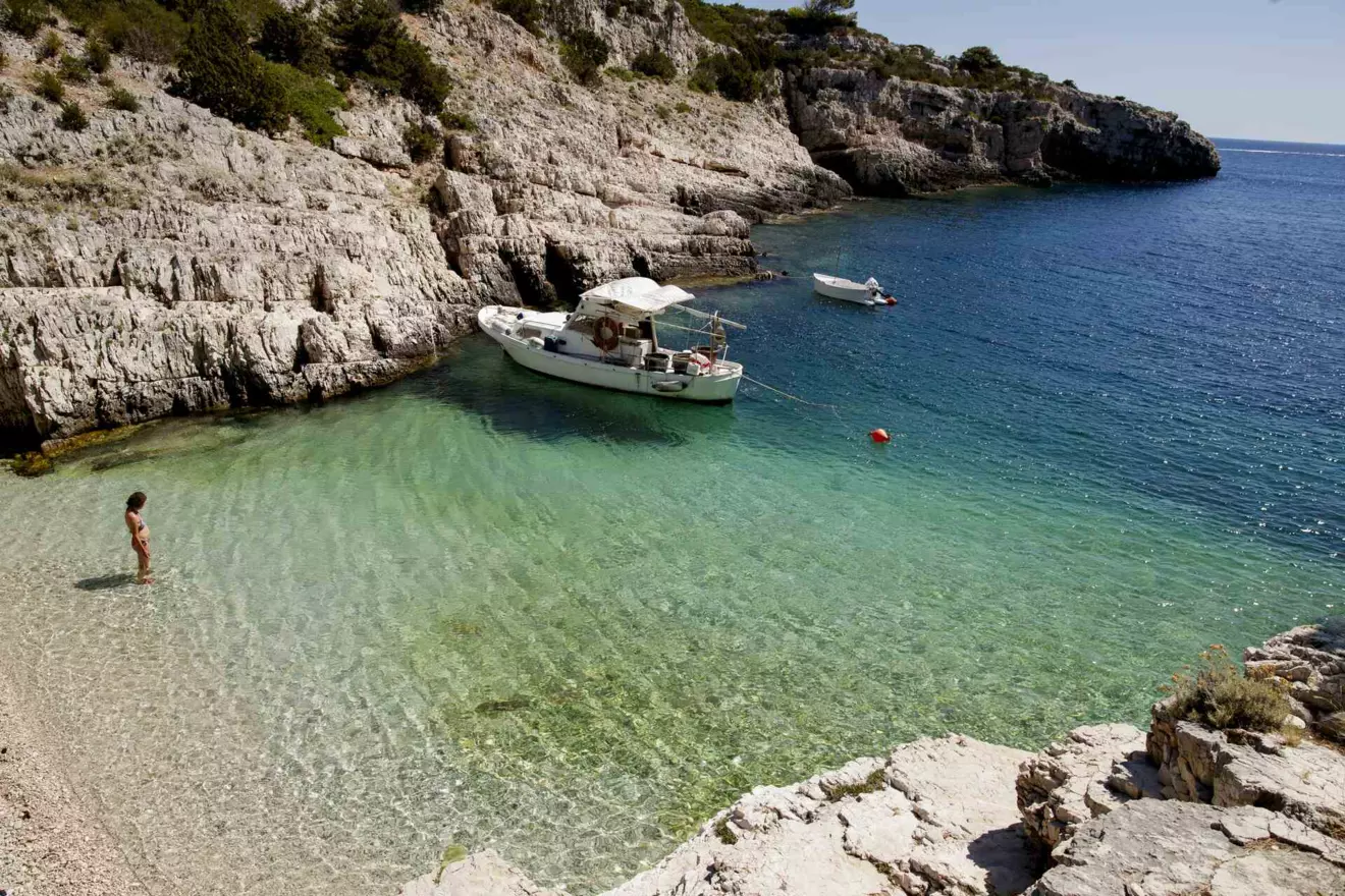  VIS 10.jpg