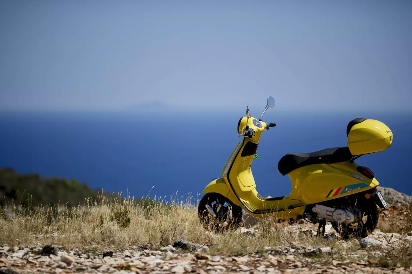  VIS 08.jpg