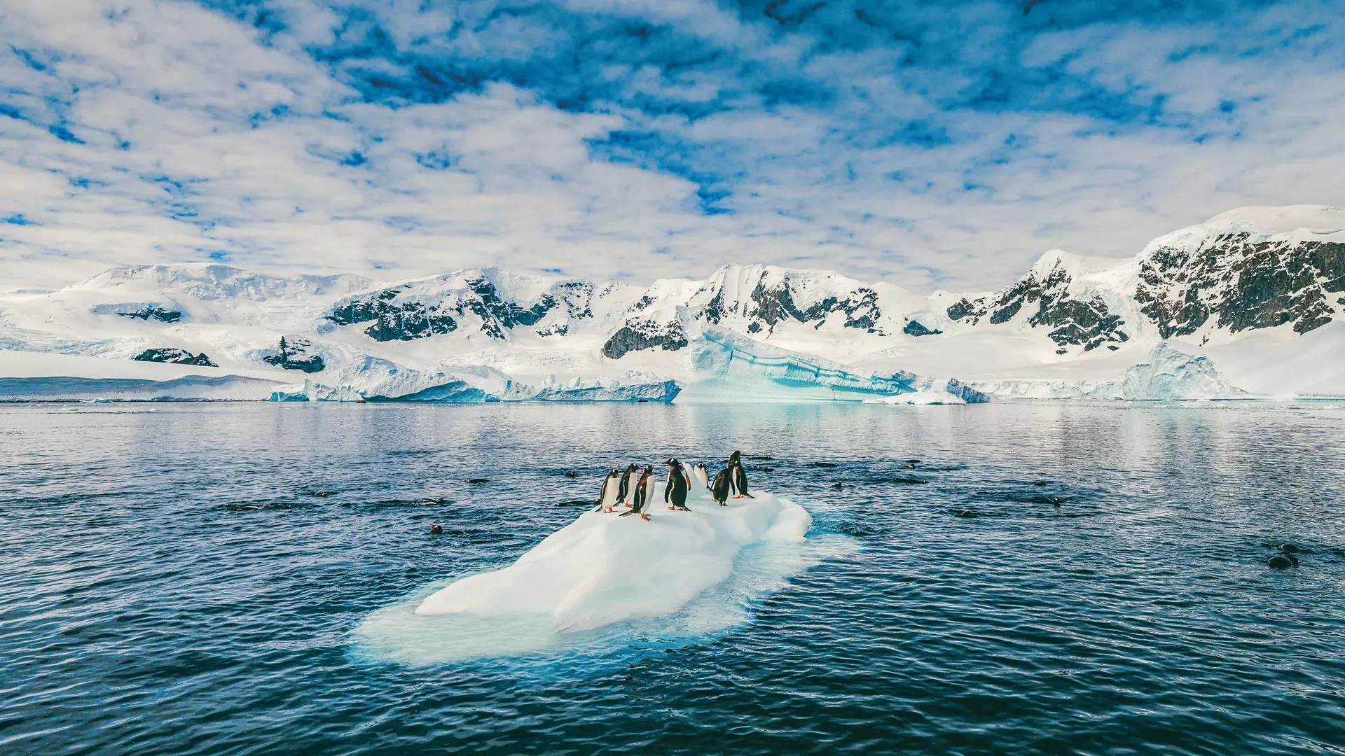 Wild Destinations for the World’s Most Curious Travelers